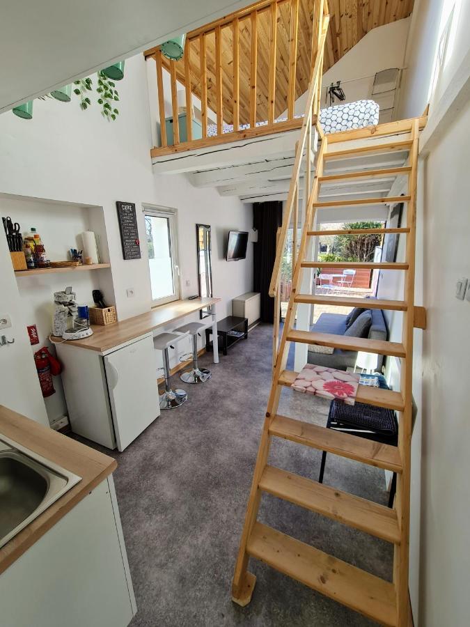 Studio Mezzanine Chez Papou, Ville Et Foret Στρασβούργο Εξωτερικό φωτογραφία